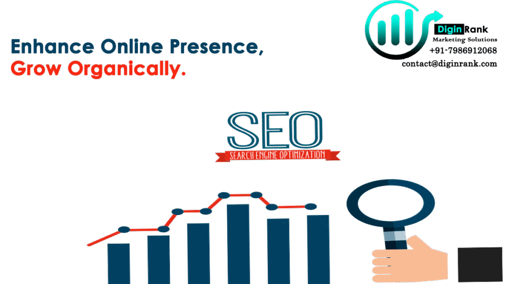 search engine optimization by diginrank